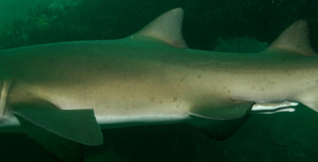 8e2281ac-6ae7-471f-8ffe-b5c16f6376bb