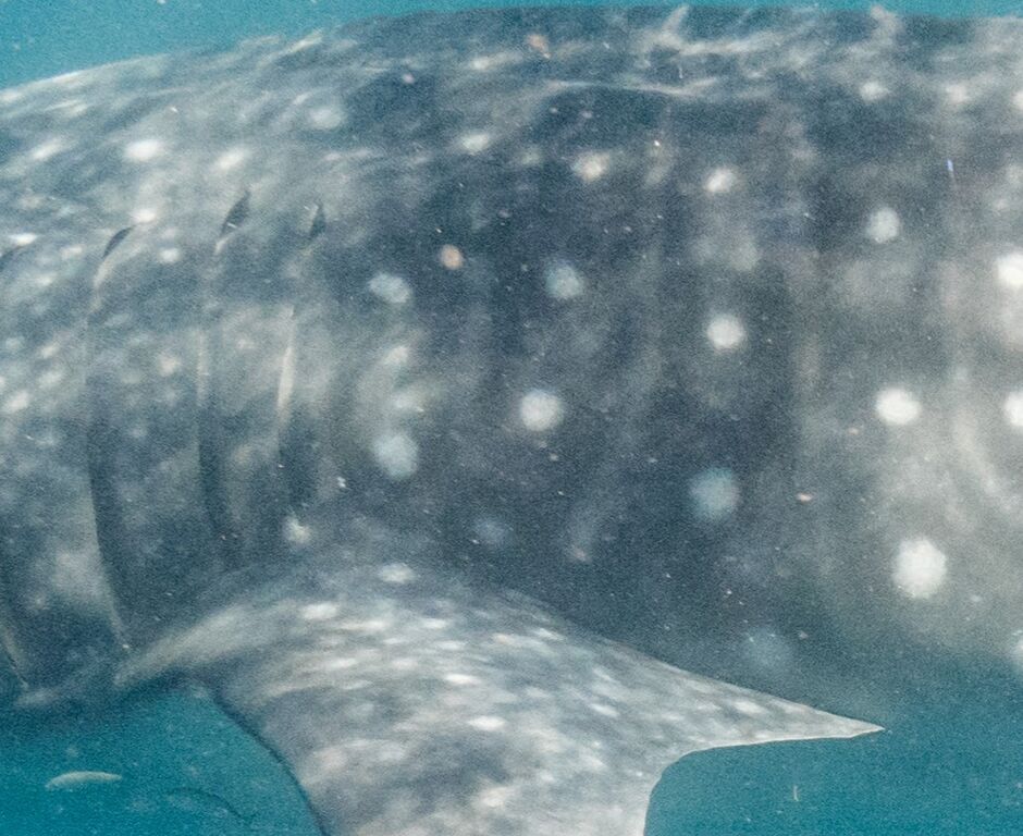 a819634c-f1bf-4229-9371-c4086d1f8c72