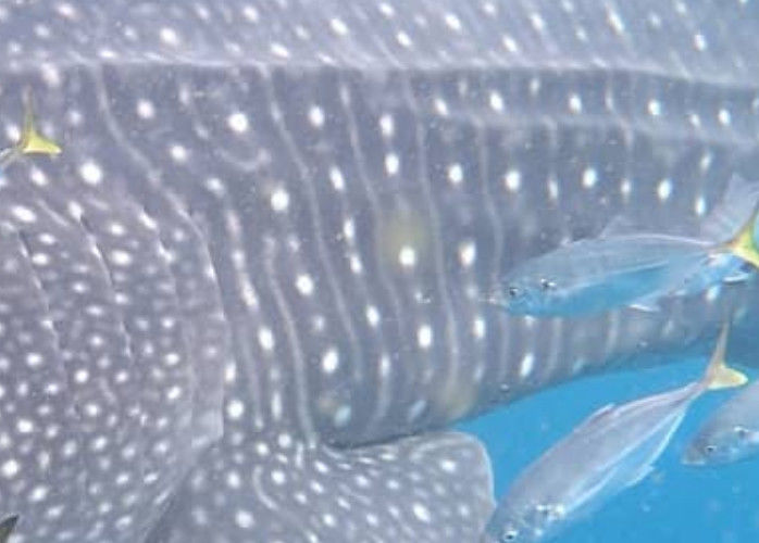 cb01fb5e-9a2f-4ee1-97c6-7d531dee26af