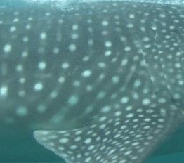 76bdf18f-c888-4308-adbf-548b8776f53a