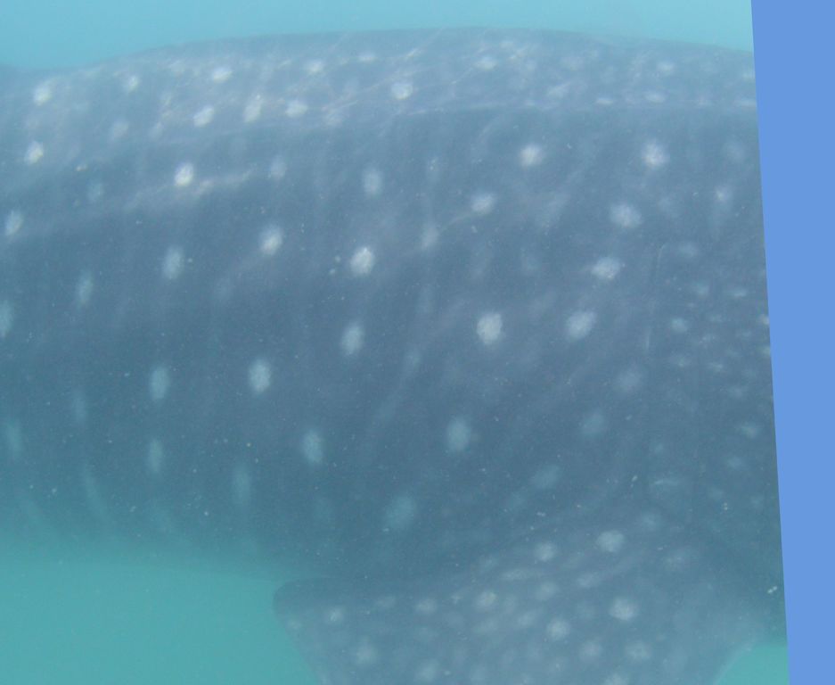 046690dc-b168-48a8-9ace-6f92db54661e