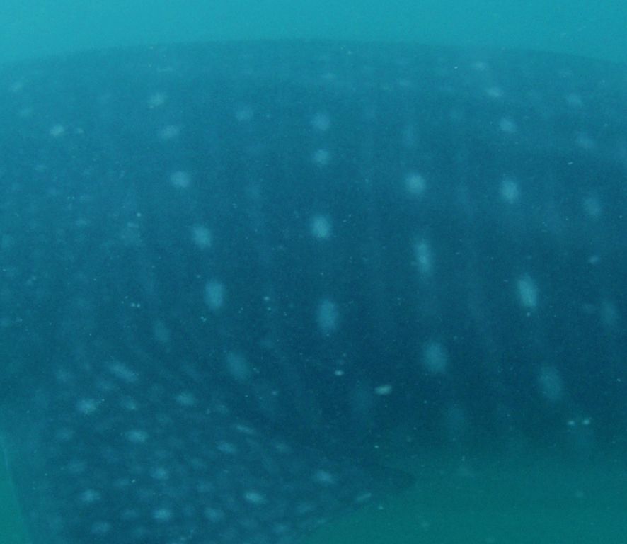 046690dc-b168-48a8-9ace-6f92db54661e