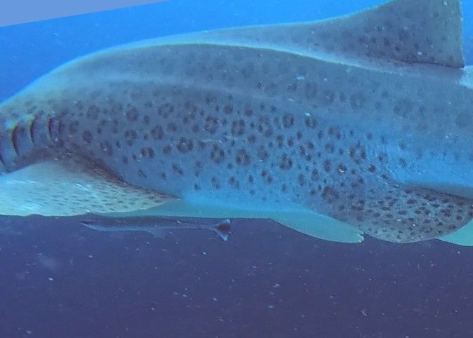 91d8c63d-643f-4e25-93c9-c8615568076d