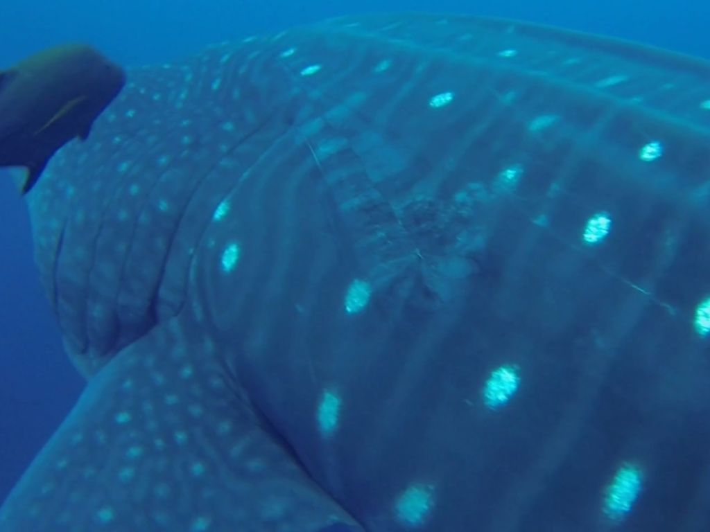 dd9b71a7-f08d-4751-882e-6ef18fb44d5f