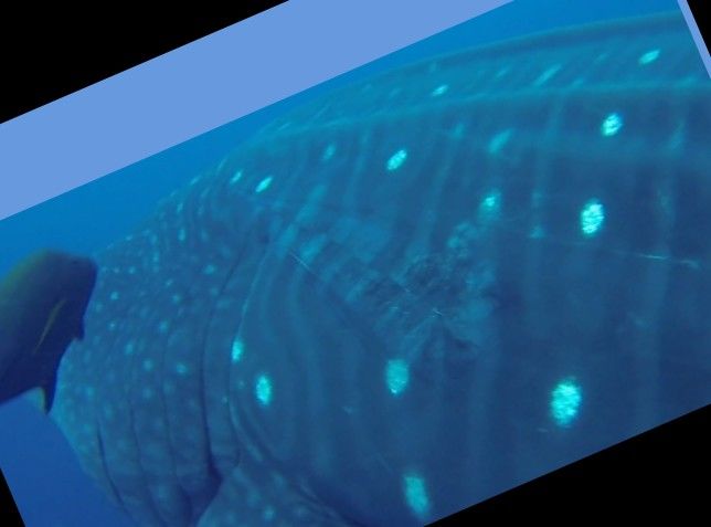 dd9b71a7-f08d-4751-882e-6ef18fb44d5f