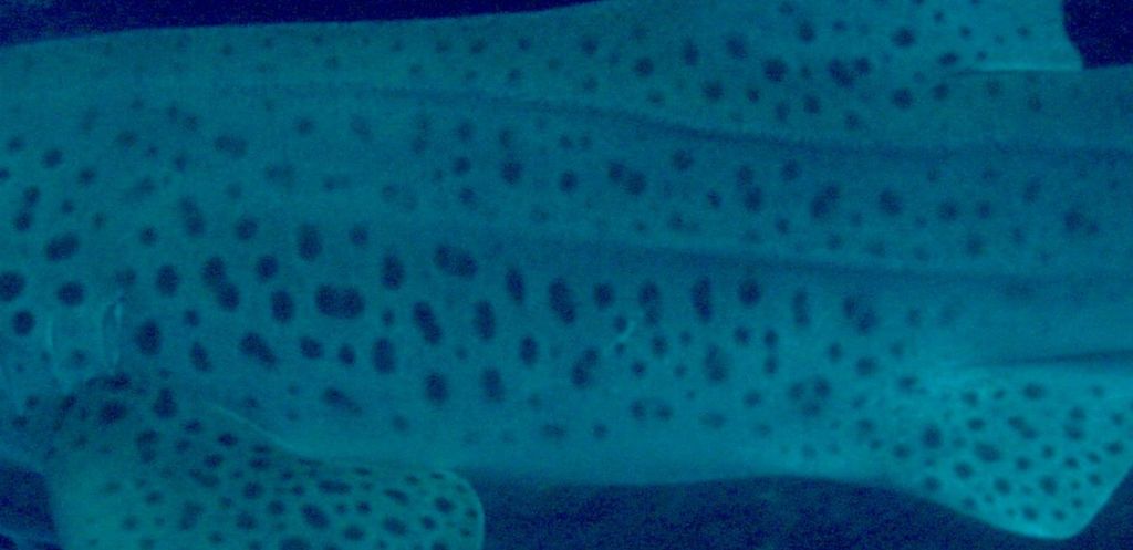 2fdb7af3-5c92-4a09-b1cc-519a1ae3236c