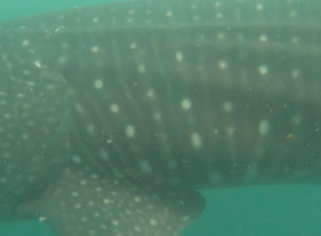 488a3d24-1772-4a70-af3d-1daeace6f1d0