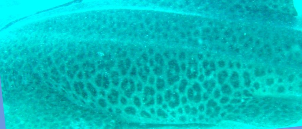 f37e534d-8b91-4038-80ff-dfbb03424e14