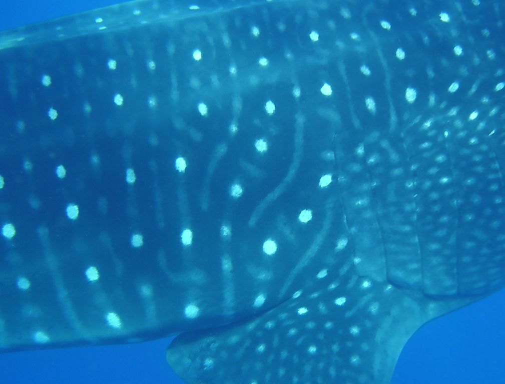 84ef61c8-7665-467c-a1e4-55b95de7dca8