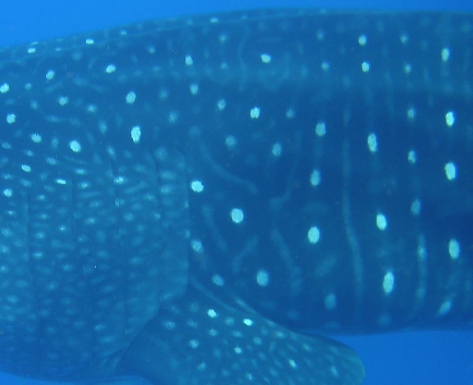 84ef61c8-7665-467c-a1e4-55b95de7dca8