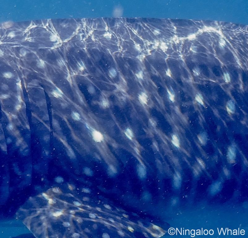 f2db9f0a-955f-4a66-b16c-d4e1af766537