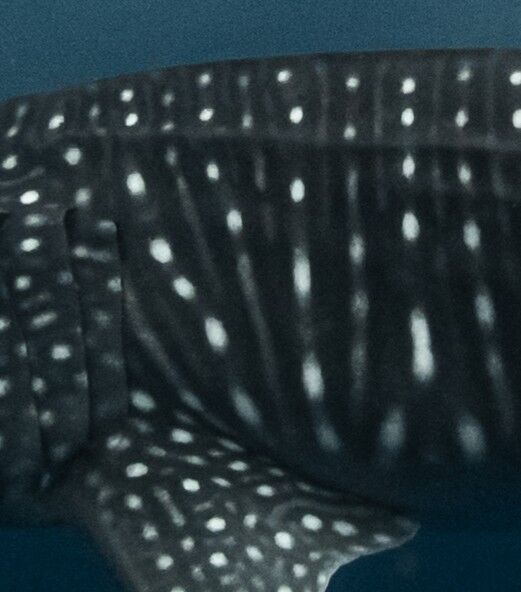 c4e92c13-5d74-458b-8461-7d197081aee2