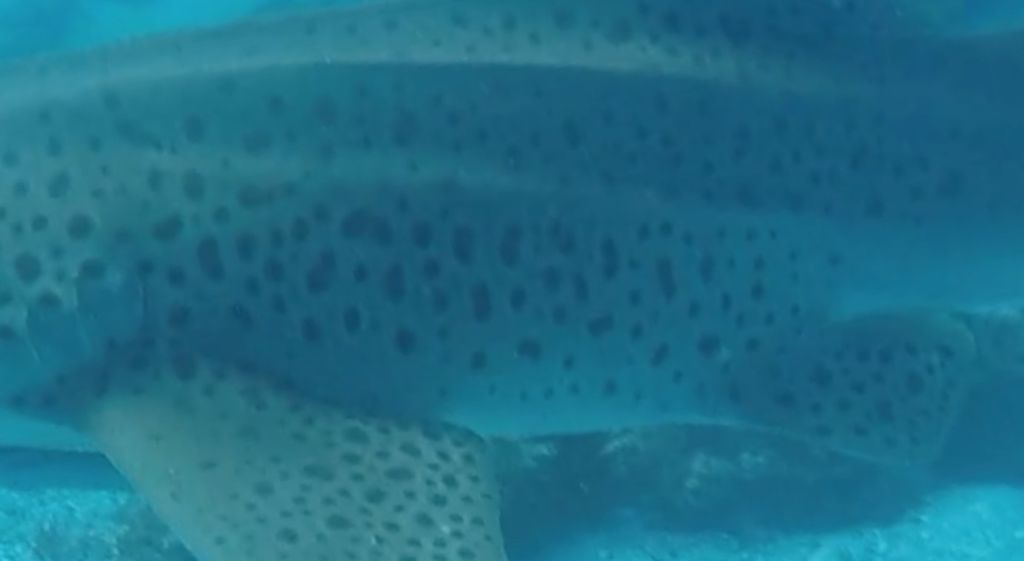 d881fc37-2356-4124-864f-77ccd9ec2098