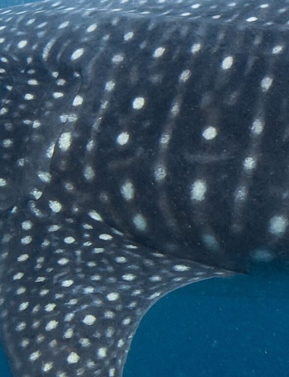 5ea467d6-1189-4b20-bb62-5b6354cb68bf