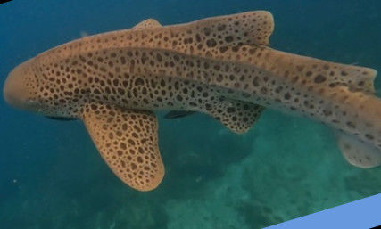 139e05c7-5c52-4353-8b19-a2b3d1ce242b