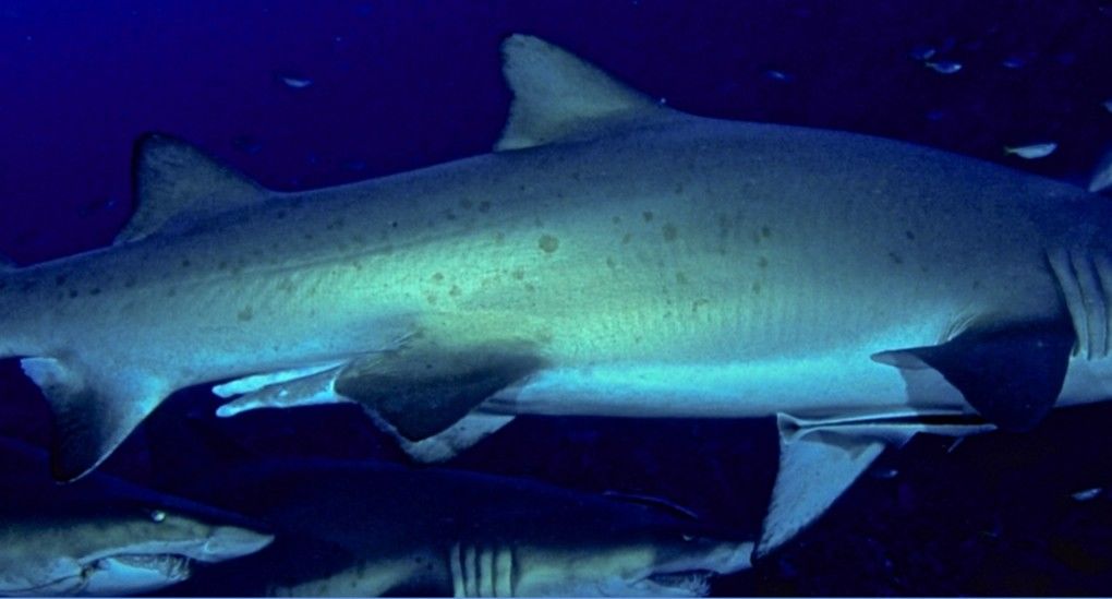 73272ad0-ba08-4d72-9c18-9b38c3e71dd3