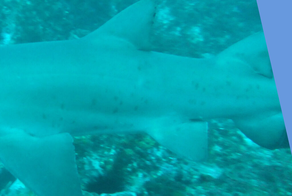 6986e096-a173-478a-bc14-a607718cf157