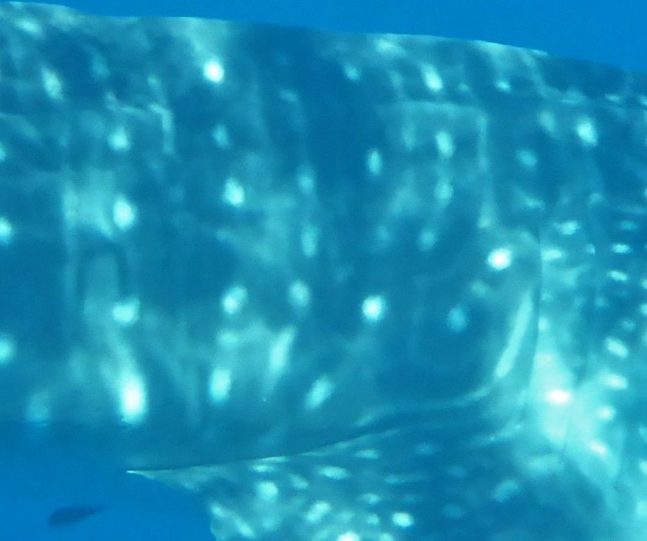 d702ae0b-4ad2-47ad-9e13-2872706b0bbc