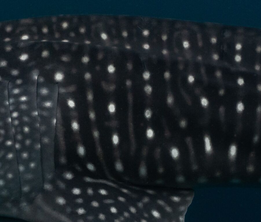 dbe325c9-280c-4022-9085-63959c970a3a