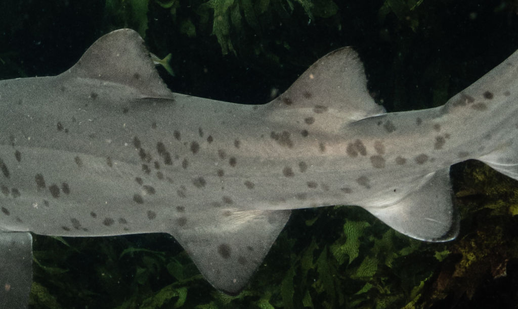 f777d9bf-d076-431a-9f14-35ec17162ea4