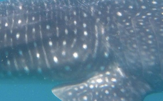 6294a811-f949-4d51-92a6-20cd55e8d5fe