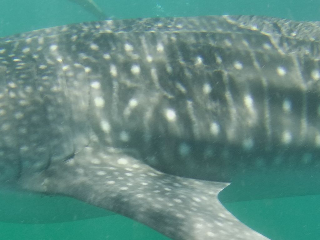 6294a811-f949-4d51-92a6-20cd55e8d5fe