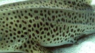 58e19db8-a31c-44d1-8360-092ed7c9a3cd