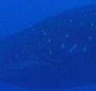 9d3d76b9-2889-4c21-a172-96fe438355ec