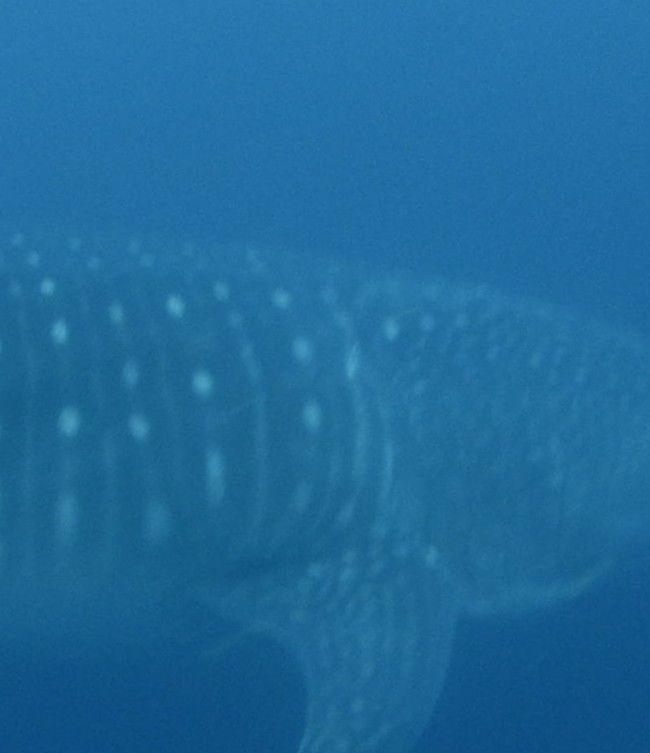 98fe535f-f9b3-4f7a-91fa-2148fc8a105e