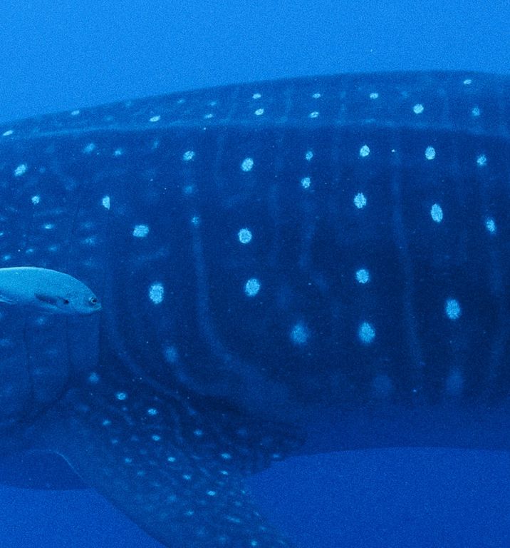 b7fb7407-cde8-42d3-b83a-92e33135a36b