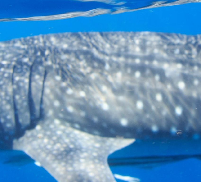 866d51bb-b578-4e5e-8bf0-90e76ecfffa8