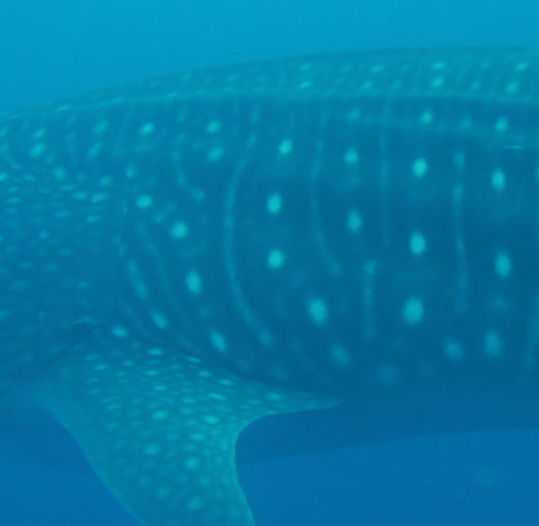 a866b3e7-bfbf-4cfd-8195-b17103a8f834