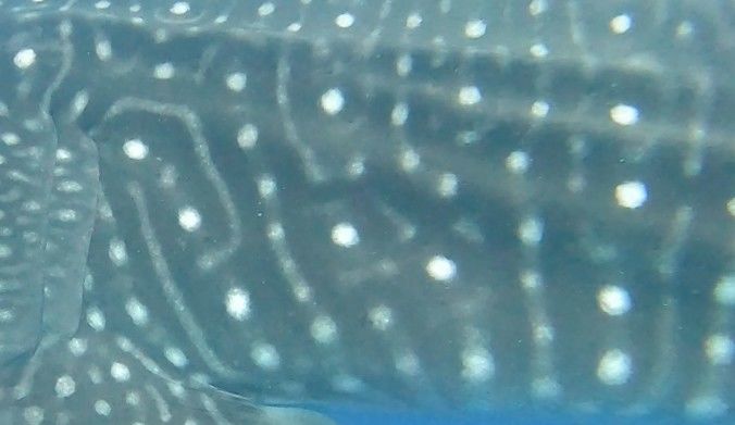 1c6a7d99-928f-4425-9026-f45afd3414e8