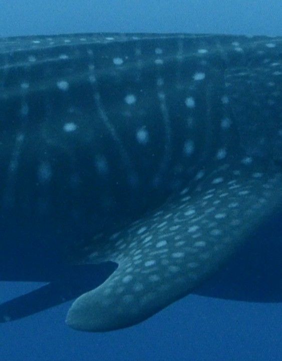 1c6a7d99-928f-4425-9026-f45afd3414e8