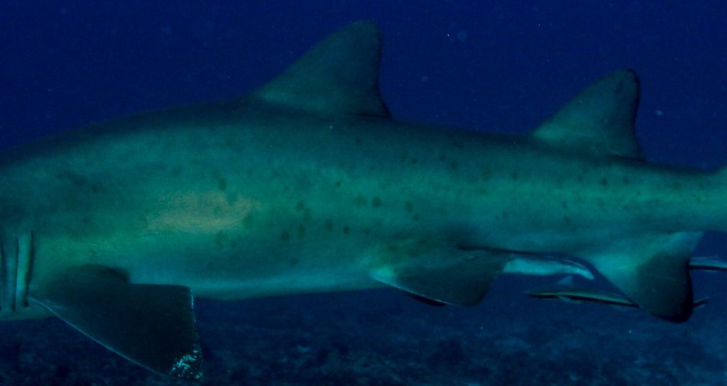 6488eb1f-8bc6-4aad-94ae-2e7460719ef0