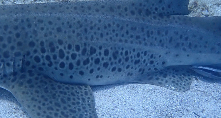 34551923-1f8e-424e-82d1-f2125fc5ede6