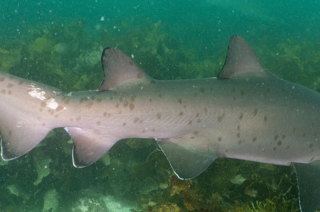 22ea09bc-fb68-4778-bc85-8ea08b7dfd88