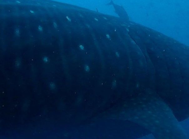 c88fe1fe-6ec8-4062-adda-487268e6f54b