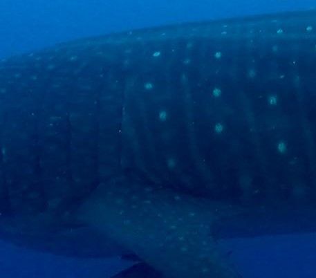 c88fe1fe-6ec8-4062-adda-487268e6f54b