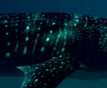 8addd261-0659-4632-a23a-57fc36df181f