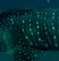 8addd261-0659-4632-a23a-57fc36df181f