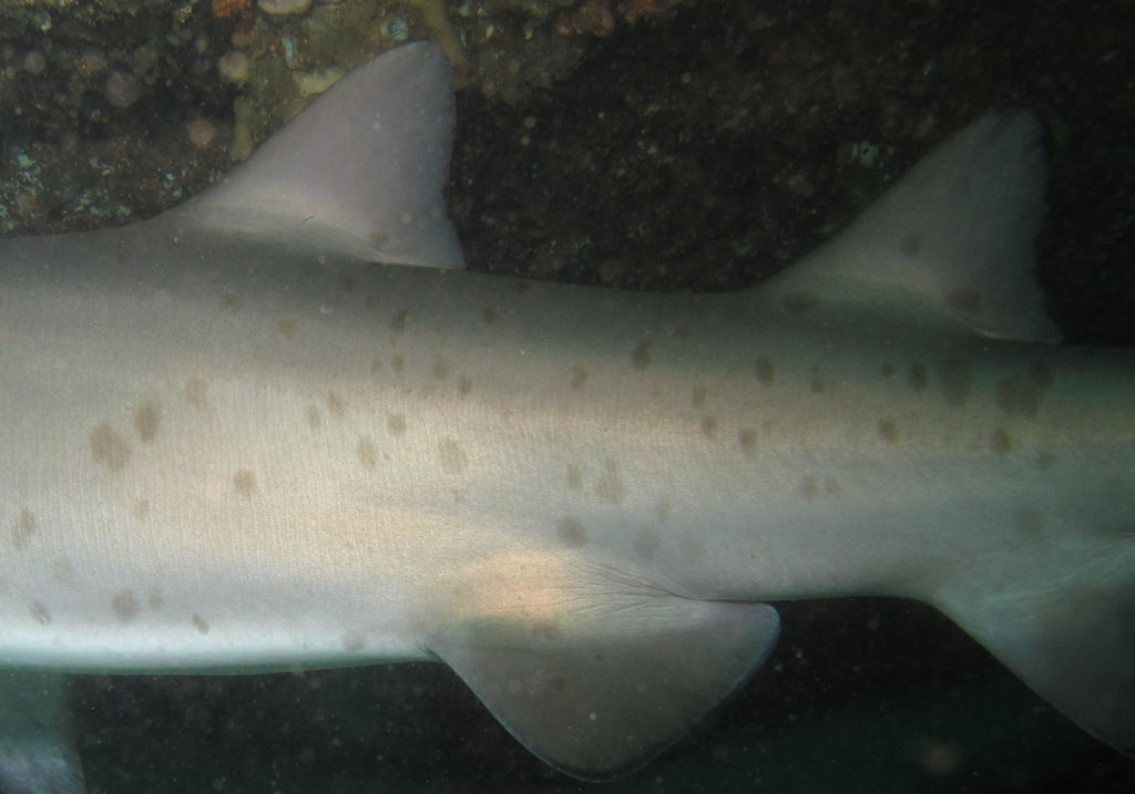 5c7057e3-a04f-4c78-a0bd-1f23b056325d