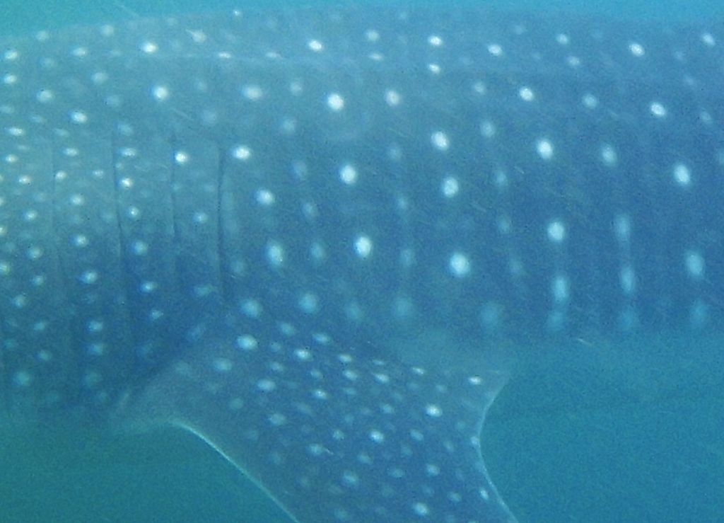 fd342ebf-cf70-4554-8916-18d07947a41c