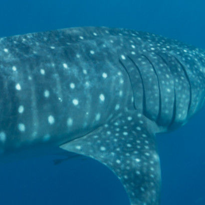 406374cd-f80f-4609-864e-9357d71e8dd6