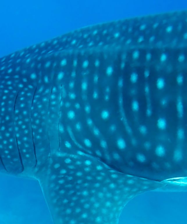 51e170dd-ab3d-46dc-ba29-250763019dc5