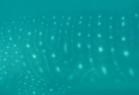 f3a319f2-316a-4aef-ad06-d4979904d283