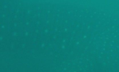 f3a319f2-316a-4aef-ad06-d4979904d283