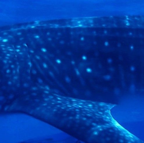 fe1ac974-43eb-4f8c-82c2-34b775e09899