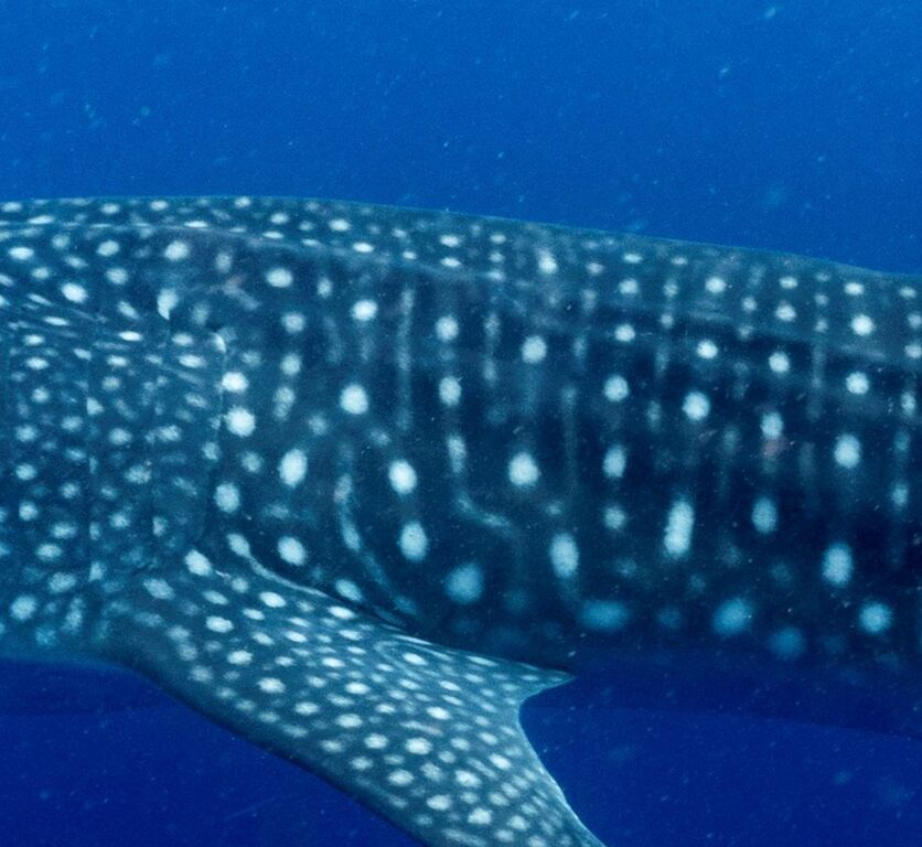 da9f06d6-88ba-4a77-9ec4-900ddb7727af