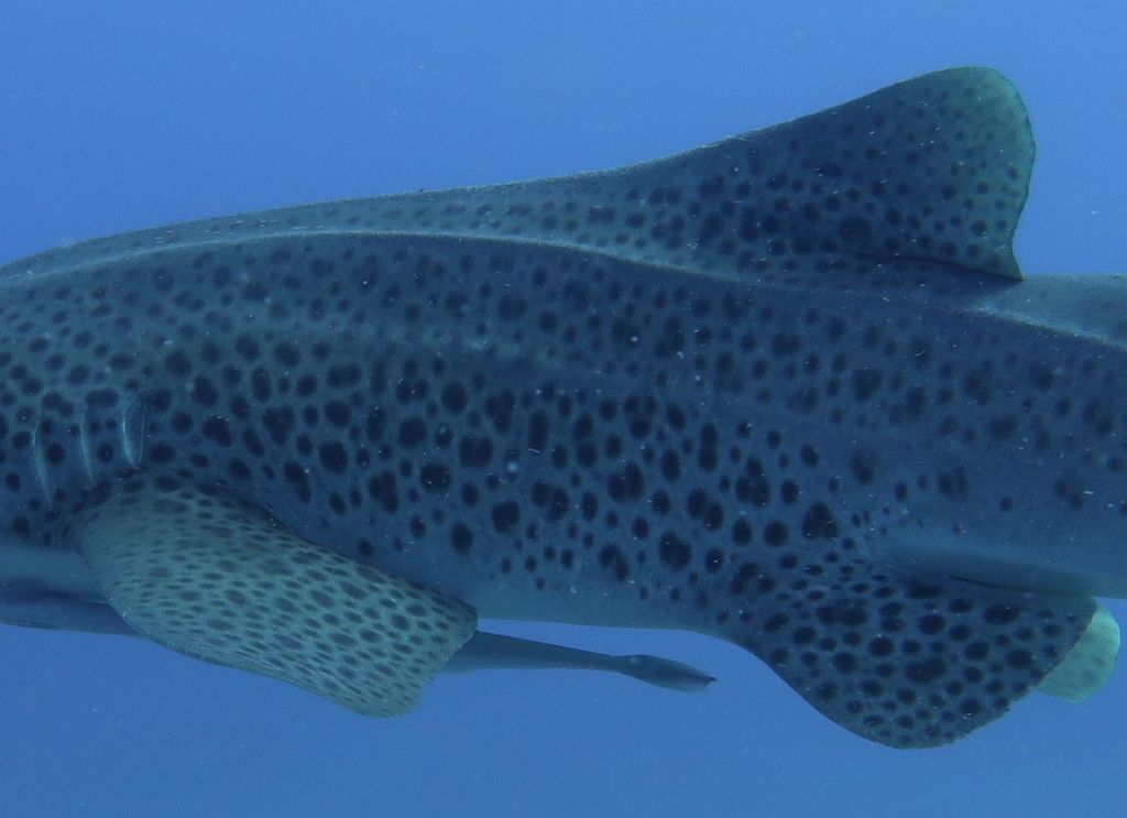 fc3334fe-ebaa-4db1-bf5b-467764eec63d